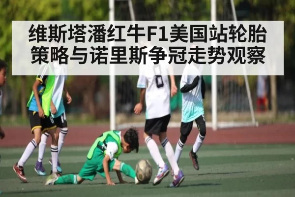 维斯塔潘红牛F1美国站轮胎策略与诺里斯争冠走势观察（LOL）
